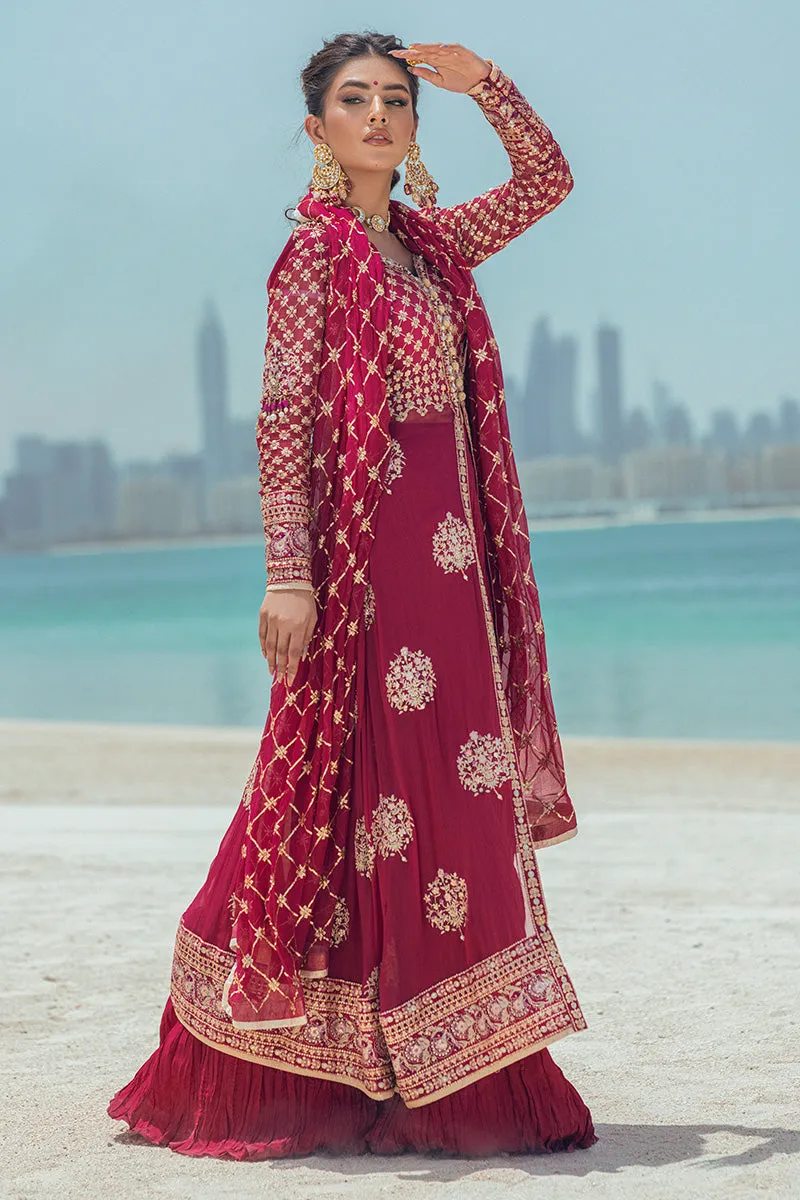 Mushq Monsoon Wedding Luxury Chiffon Collection – CABARET